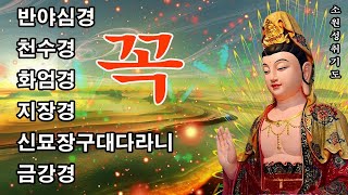 매일 1번 듣는 소원 실현 명상 🌟 건강, 부자, 성공, 풍요, 행운, 행복, 재물 🙏 금강경, 천지팔양신주경, 천수경, 반야심경, 신묘장구대다라니