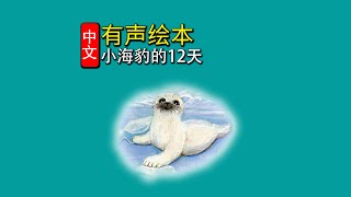 《小海豹的12天》儿童晚安故事,有声绘本故事,幼儿睡前故事