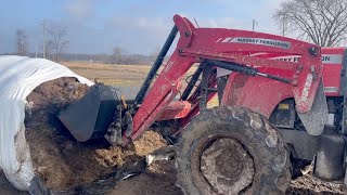 First silage feeding - opening the bag