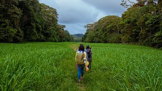 Deep in the Corcovado Rainforest