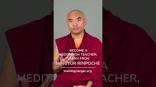 Join Tergar Meditation Teacher Program, Learn from Mingyur Rinpoche