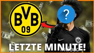 Letzte Minute! Big Player kommt? Nachrichten von Borussia Dortmund heute