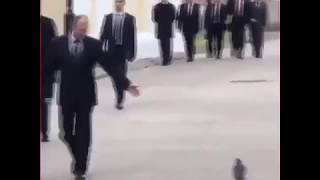 Putin'e Selam Veren Güvercin