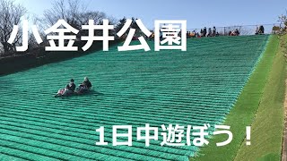 東京でも屈指の広さの小金井公園は子供の遊具はもちろん、バーベキューやピクニックなど1日遊べて充実のお勧めの公園！