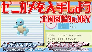 【ポケモンダイパリメイク】ゼニガメを入手しよう 全国図鑑No.007【ポケットモンスター ブリリアントダイヤモンド・シャイニングパール】Pocket Monsters