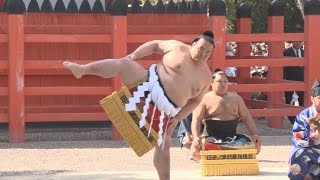 大阪・住吉大社で奉納土俵入り 春場所に向け稀勢ら４横綱