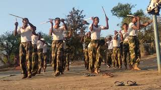 Holessa song armed force dance performance.......