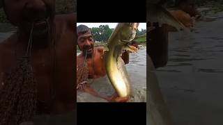 Catching big fish village river#shortvideo #shortsvideo #shorts #short #trending #allah #mashallah