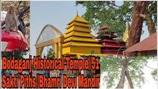 Bodaganj Historical Temple#Bhamori Devi Mandir jalpaiguri