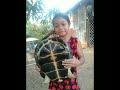 omg មេអណ្ដើកវាឡើងផ្ទះ the tortoise came home