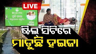 Live | ଷ୍ଟିଲ୍ ସିଟିରେ ମାଡୁଛି ହଇଜା | Cholera Spreads Fast In Steel City Rourkela | OTV