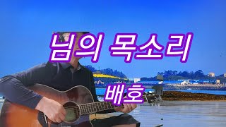 기타연주/님의 목소리(Em)/배호/독학