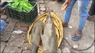 गोछ मछली उसका बाजार मछली मंडी में कटिंग #video #fishing #catting #viral