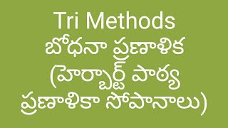 Tri Methods || బోధనా ప్రణాళిక ( హెర్బార్ట్ బోధనా ప్రణాళికా సోపానాలు ) - పార్ట్ 2