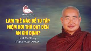 7. Làm Thế Nào Để Tu Tập Niệm Hơi Thở Đạt Đến An Chỉ Định | Pa Auk Sayadaw - Biết Và Thấy