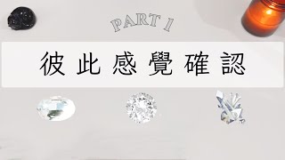 彼此感覺確認Part 1「無時間限制」｜塔羅占卜+占卜小物｜Ora Tarot