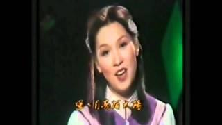 森森1979【星星月亮冇太陽】MV 立體聲混音版