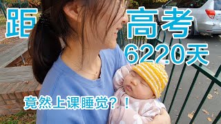 距离高考还有6220天，竟然还上课睡觉！？(新西兰 Harold Vlog 635)