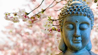 Spring Spirit | Vitalizing Meditation