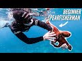 Teaching Complete Beginners HOW TO SPEARFISH in HAWAII {PART 1}