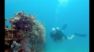 Diving in Pemuteran bay and Menjangan island Bali with Reefseen divers