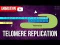 Telomere Replication Animation || End Replication Problem || Action of Telomerase