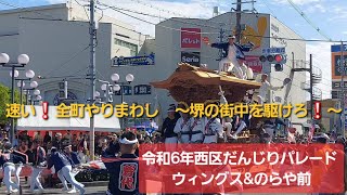 【🔰西区パレード初観覧🥰】泉州と堺の祭り日程が一週異なった2024.10.6