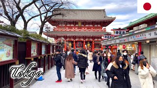 🇯🇵【4K】Tokyo Winter Walk 2021 - Asakusa | Kaminarimon | 浅草・雷門 (February 2021)