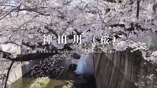 【東京街歩き・散歩Cinematic Vlog】神田川 - 桜 Walk around Kanda River in Tokyo | SONY ZV-1＋MOZA Mini-P #032