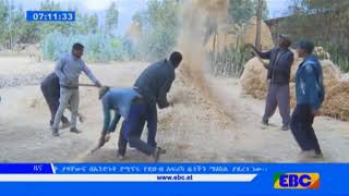 #EBC ሁሉም ለሰላም ሊሰራ ይገባል-የሰሜን ሸዋ ዞን አርሶ አደሮች