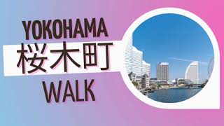 2019 yokohama view walk .from sakuragicho to akarenga Olympic symbol.