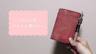 【手帳会議】Micro5(M5)のビタリータちゃんを使いたい💖