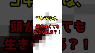 ゴキブリは、頭がなくても生きられる？！#雑学 #ショート動画