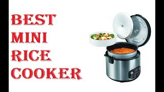 Best Mini Rice Cooker 2021