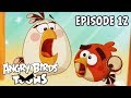 Angry Birds Toons | Happy Hippy  - S3 Ep12