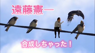 【えさをもらえない遠藤憲一】など