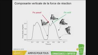 Amphis Pour Tous - Optimisation des équipements sportifs : les apports de la biomécanique