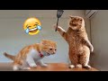 🤣 Animals Doing Stupid Things 😺🐶 Funny Animals Moments ~ Pets SGlobal