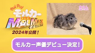 2024年公開『PUI PUI モルカー ザ・ムービー MOLMAX』新モルカー声優解禁動画