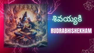 చిట్యాల గ్రామంలో || శ్రీ నాగలింగేశ్వర  స్వామి || వారికి రుద్రాభిషేకం || 09-11-2024 || LIVE 👍🙏