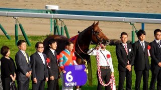 グレイスフルリープ、JBCスプリントの口取り。現地映像、京都競馬場