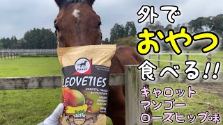 外でおやつ食べる!! リオべティーズ(LEOVETIES)キャロット　マンゴー　ローズヒップ味