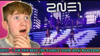 2NE1 - 'I AM THE BEST'' YG FAMILY WORLD TOUR 2014 LIVE PERFORMANCE REACTION