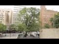 A day in the life of a Citywide Arborist - Ep 2