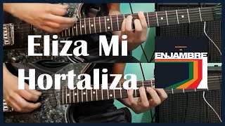 Eliza Mi Hortaliza - Enjambre (Guitar Cover) [ #193 ]