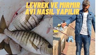 MIRMIR VE LEVREK AVI NASIL YAPILIR AV VE DETAYLARI #FİSHİNG