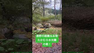 【お宿紹介】岩手県遠野市の泊まれる庭園とお風呂のお宿、たかむろ水光園の朝！　#遠野市 #旅館 #東北