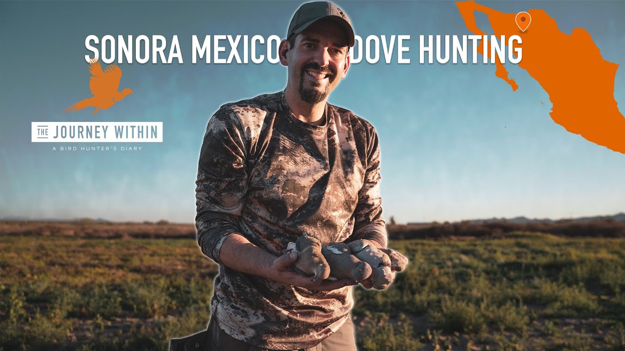 Dove Hunting Sonora Mexico: The Journey Within - A Bird Hunter's Diary ...