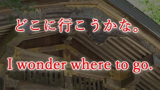 どこに行こうかな。時を超えた美しさ日本の伝統建築。