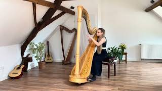 J. S. Bach  - Toccata and Fugue in D minor, BWV 565.  Alisa Sadikova - Harp